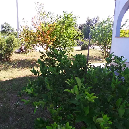 Apartment In Kavran/istrien 27869 Kavran